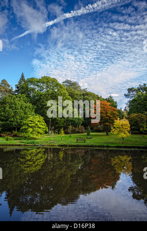 Autumn trees reflected in a lake at Exbury in the New Forest Stock Photo