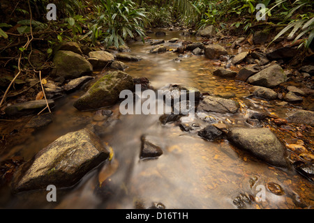 Small river stream in the rain forest at Burbayar nature reserve, Panama province, Republic of Panama. Stock Photo