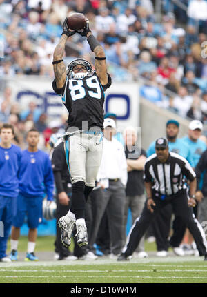 Tampa Bay Buccaneers vs. Carolina Panthers. NFL Game. American Football  League match. Silhouette of professional player celebrate touch down.  Screen in background. Stock Photo