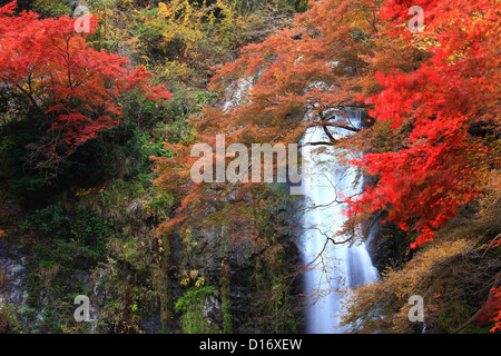 Autumn leaves and Mino waterfall in Mino, Osaka Stock Photo