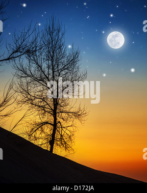 Picture of big dry tree in moonlight, silhouette of wood on hill on dark night background, bright moon with shining stars in sky Stock Photo