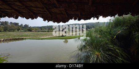 Thailand, Chang Mai, Long Neck village (Karen tribe), near the border with Burma Stock Photo