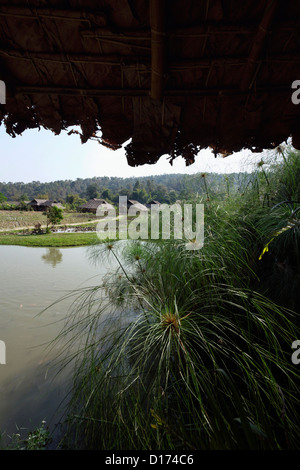 Thailand, Chang Mai, Long Neck village (Karen tribe), near the border with Burma Stock Photo