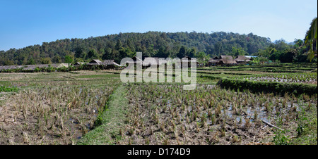 Thailand, Chang Mai, Long Neck village (Karen tribe), near the border with Burma Stock Photo