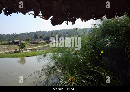 Thailand, Chang Mai, Long Neck village (Karen tribe), near the border with Burma Stock Photo