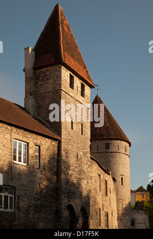 Medieval city wall with windows Stock Photo