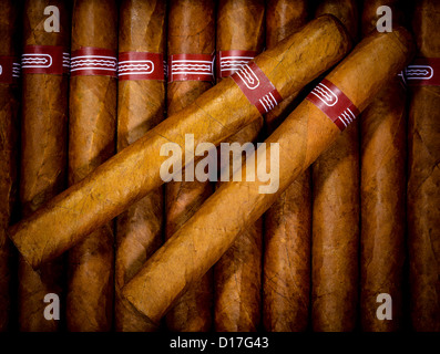 Close up of cigars in open humidor box Stock Photo