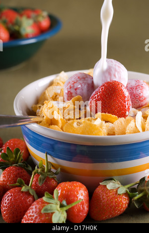 Pouring milk onto breakfast corn flakes with strawberries. Stock Photo
