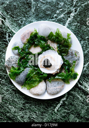 Plate of oysters with caviar and seaweed Stock Photo