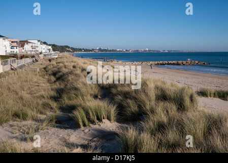 Sandbanks beach with dunes and grasses, Poole Bay, Dorset, England, UK. Europe Stock Photo