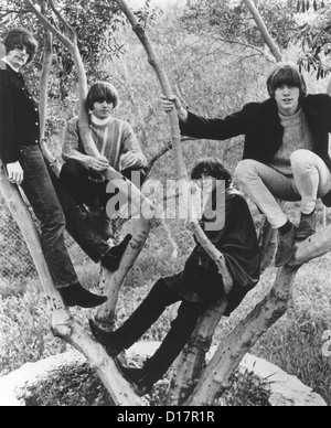THE BYRDS  Promotional photo of US pop group about 1965. From l: Roger McGuinn, Mike Clark, Dave Crosby, Gene Clark Stock Photo