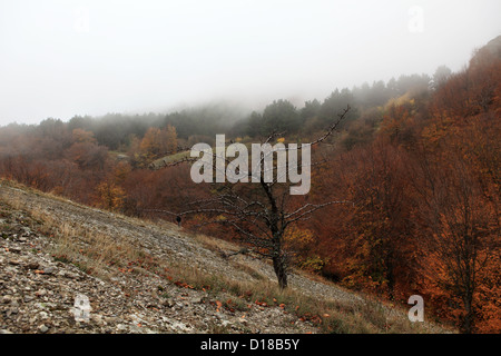 clouds on the mountain Demerdji. Alushta, Crimea, Ukraine Stock Photo