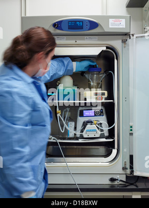 A lab technician conducting various experiments in a research lab Stock Photo