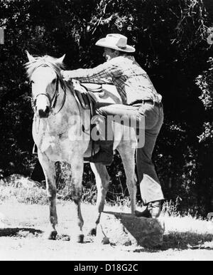 Republican Presidential candidate Ronald Reagan, getting into the saddle. July 1980. (CSU ALPHA 440) CSU Archives/Everett Stock Photo