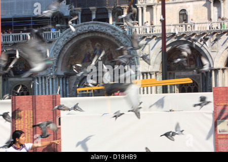 Flying pigeons at San Marco, Venice Stock Photo