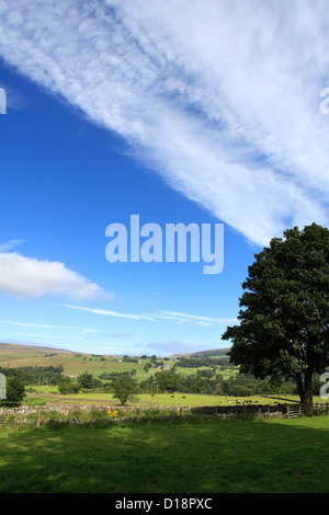panoramic image, Summer Landscape view over Middleton in Teesdale, Teesdale, Durham County, England, Britain, UK Stock Photo