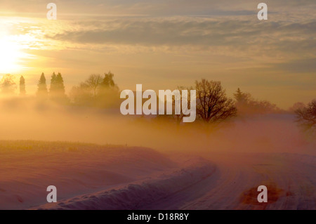 Sunrise with snow at Maulbronn, morning mood, fog with snow, dirt road with snow, sun with rays, snow, landscape, Stock Photo