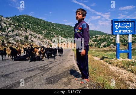 Kid shepherd in Latakia - Hama road. Syria Stock Photo