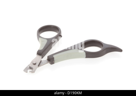 Nail clipper for cats or small dogs isolated on white background Stock Photo