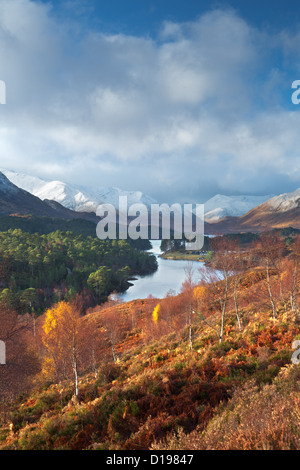 Glen Affric in autumn. Stock Photo