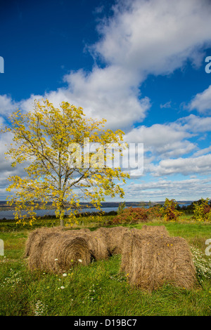 Fall color in the Finger Lakes region of New York state Stock Photo