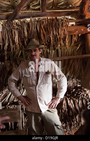 Tobacco farmer in front of drying tobacco leaves, Cuba Stock Photo