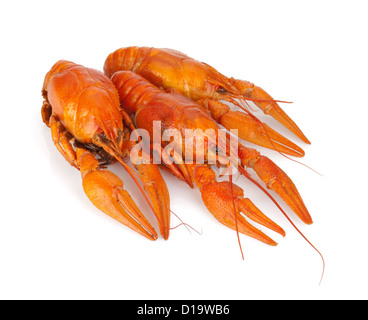 Three boiled crayfishes. Isolated on a white background Stock Photo