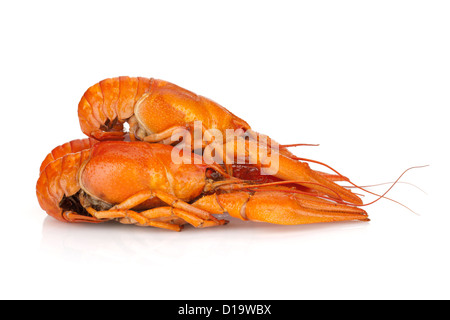 Three boiled crayfishes. Isolated on a white background Stock Photo