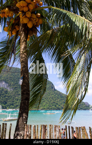 El Nido bay, Palawan, Philippines Stock Photo