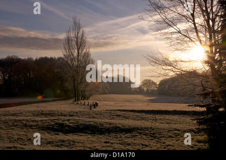 Chesham, Bucks, UK. 12th December 2012. View across Ley Hill Common, UK on a frosty morning on December 12th 9am. Temperature -4 degrees.  Ley Hill, near Chesham, Buckinghamshire. Credit:  studio beam / Alamy Live News Stock Photo