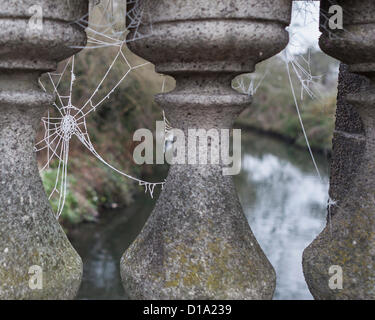 Frost covers a spider web on the bridge across the Crane river in twickenham, UK Stock Photo