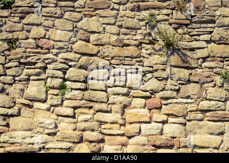 Old wall made from stone Stock Photo