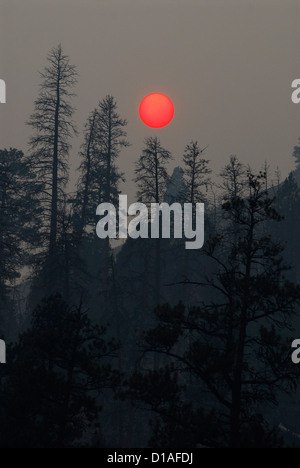 Smoke caused by forest fires in the Peruvian Amazon Stock Photo - Alamy