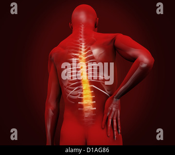 Digital figure with highlighted back pain Stock Photo - Alamy