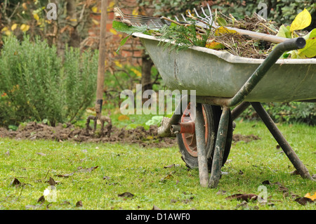 wheelbarrow full of branches and gardening tools Stock Photo