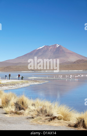 Tourists at Laguna Adeyonda on Altiplano, Potosi Department, Bolivia  Stock Photo