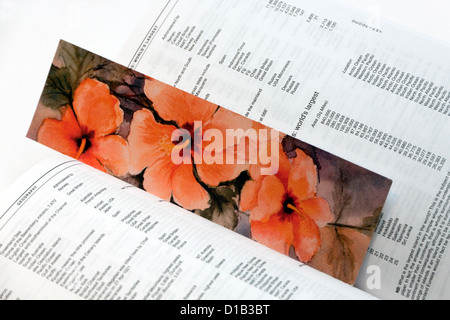 Colourful bookmark inside open dictionary pages Stock Photo