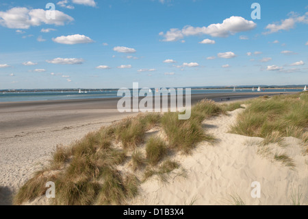 East Head, West Wittering, West Sussex, UK. Marram grass (Ammophila arenaria) on sand dunes. September. Chichester Harbour. Stock Photo