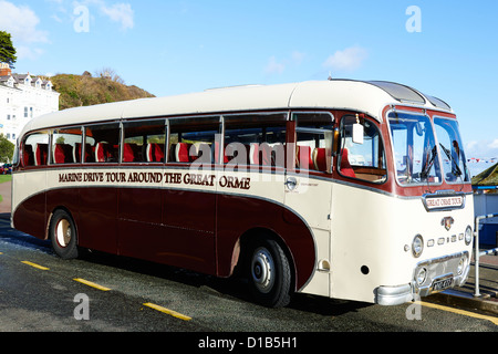 Great Orme Tour Bus Llandudno Wales UK Stock Photo