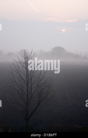 Pattensen, Germany, sunrise with morning fog over fields Stock Photo