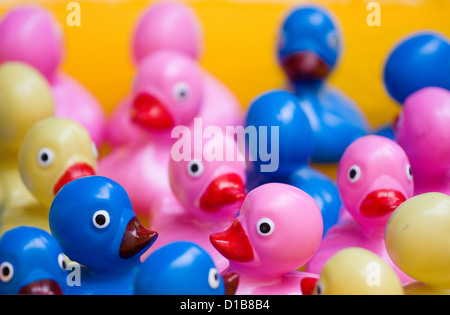 Berlin, Germany, colorful plastic ducks Stock Photo