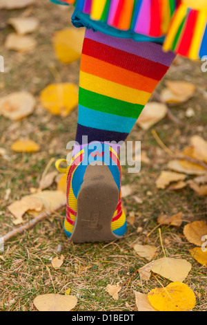 clown colorful colourful clown shoe clown costume Stock Photo