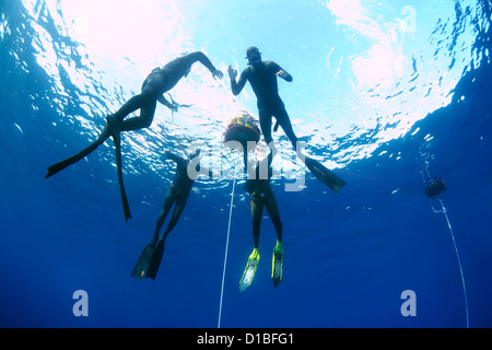 Freedivers, Mediterranean Sea, Kash, Turkey Stock Photo