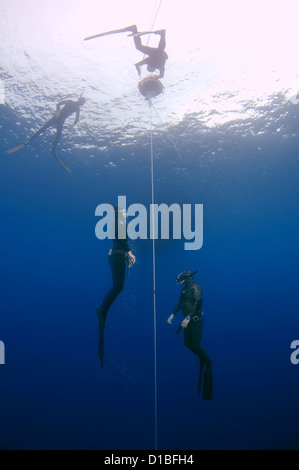 Freedivers, Mediterranean Sea, Kash, Turkey Stock Photo