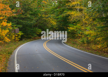 Autumn colors on the road to Race Point, Cape Cod, Massachusetts. Stock Photo