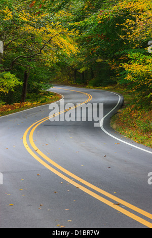 Autumn colors on the road to Race Point, Cape Cod, Massachusetts. Stock Photo