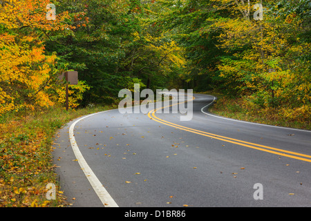 Autumn colors on the road to Race Point, Cape Cod, Massachusetts. Stock Photo