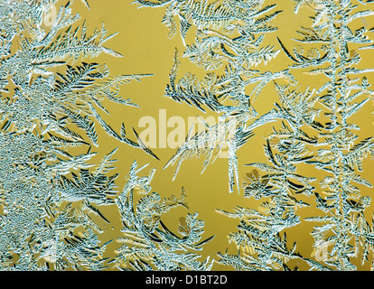 Frost crystals on window glass. Stock Photo