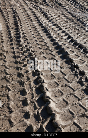 Heavy vehicle tracks in thick mud Stock Photo