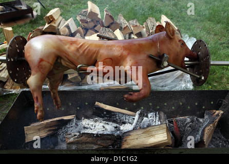 Budapest, Hungary, suckling pig on a spit Stock Photo